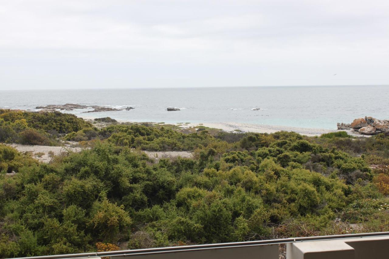 Seester Accommodation Lambertʼs Bay Rom bilde